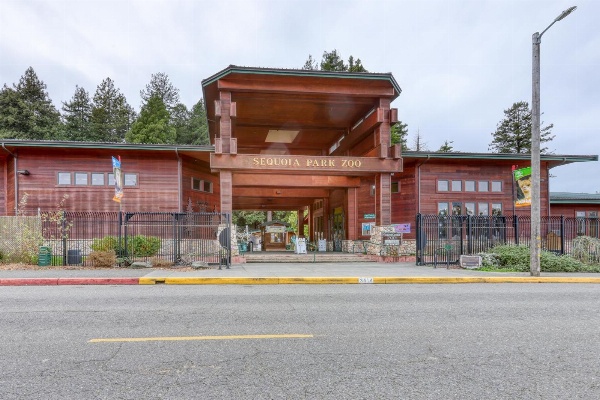 Sequoia Cottage image 7